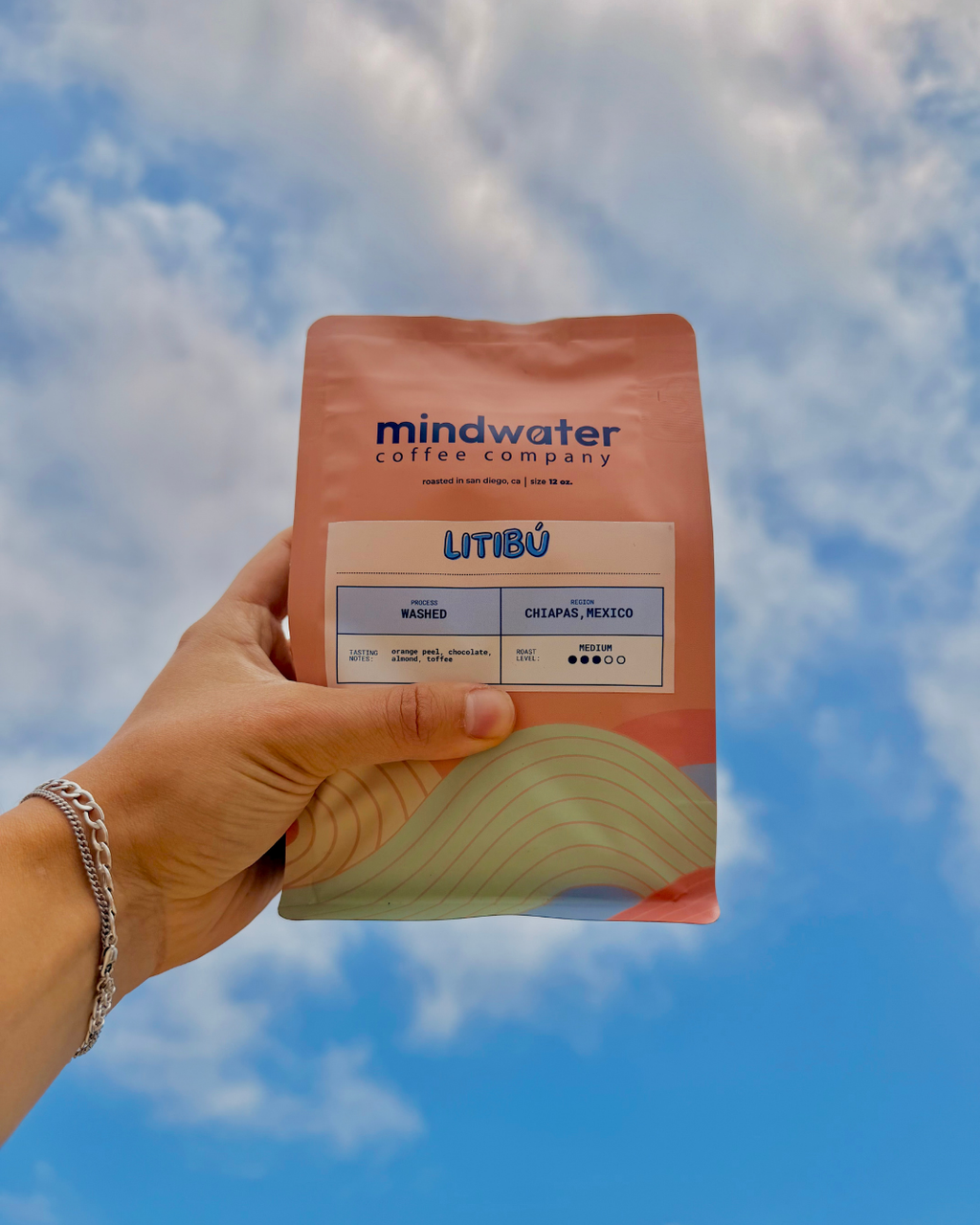 The Mindwater Passport - Issue No.01