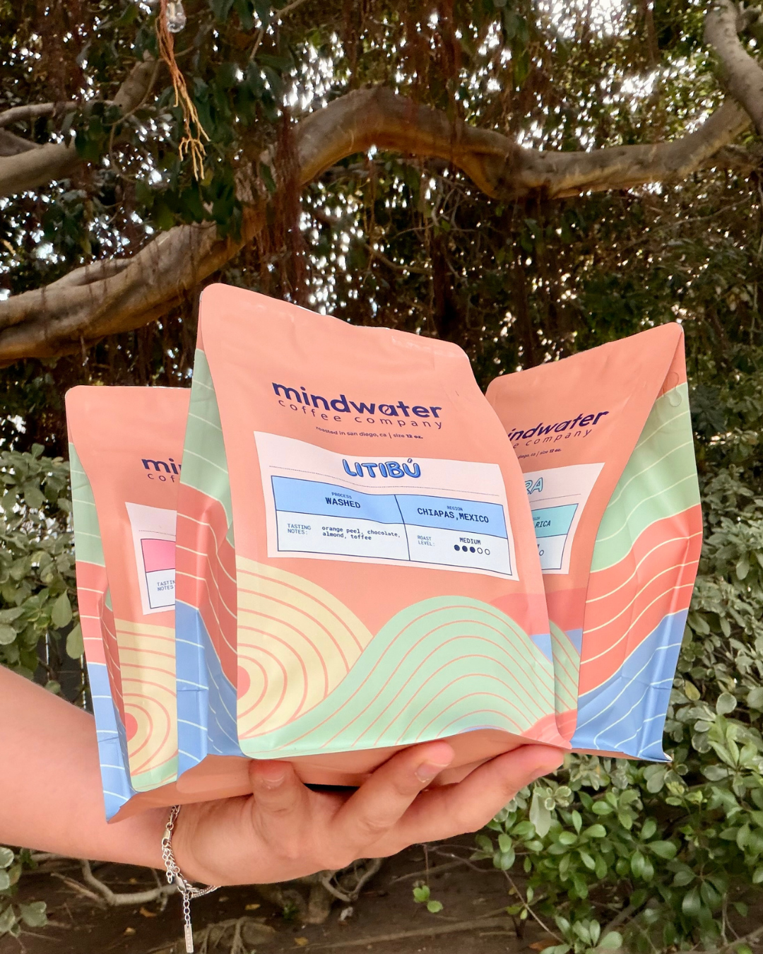 The Mindwater Passport - Issue No.01