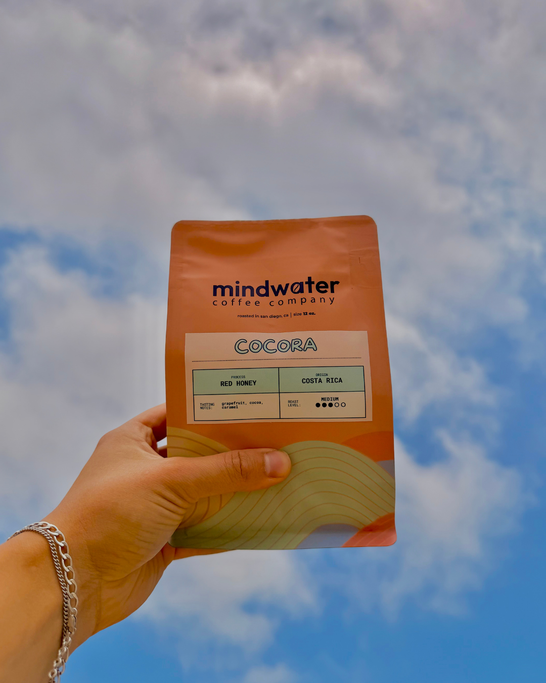 The Mindwater Passport - Issue No.01