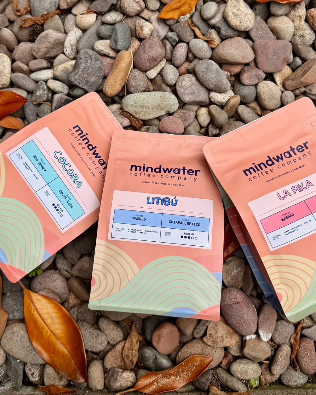 The Mindwater Passport - Issue No.01