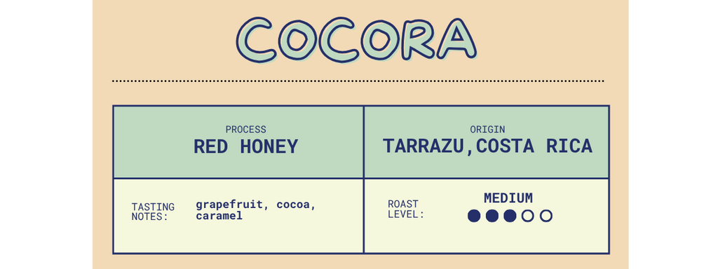 12 oz. Cocora Medium Roast Coffee | Costa Rica