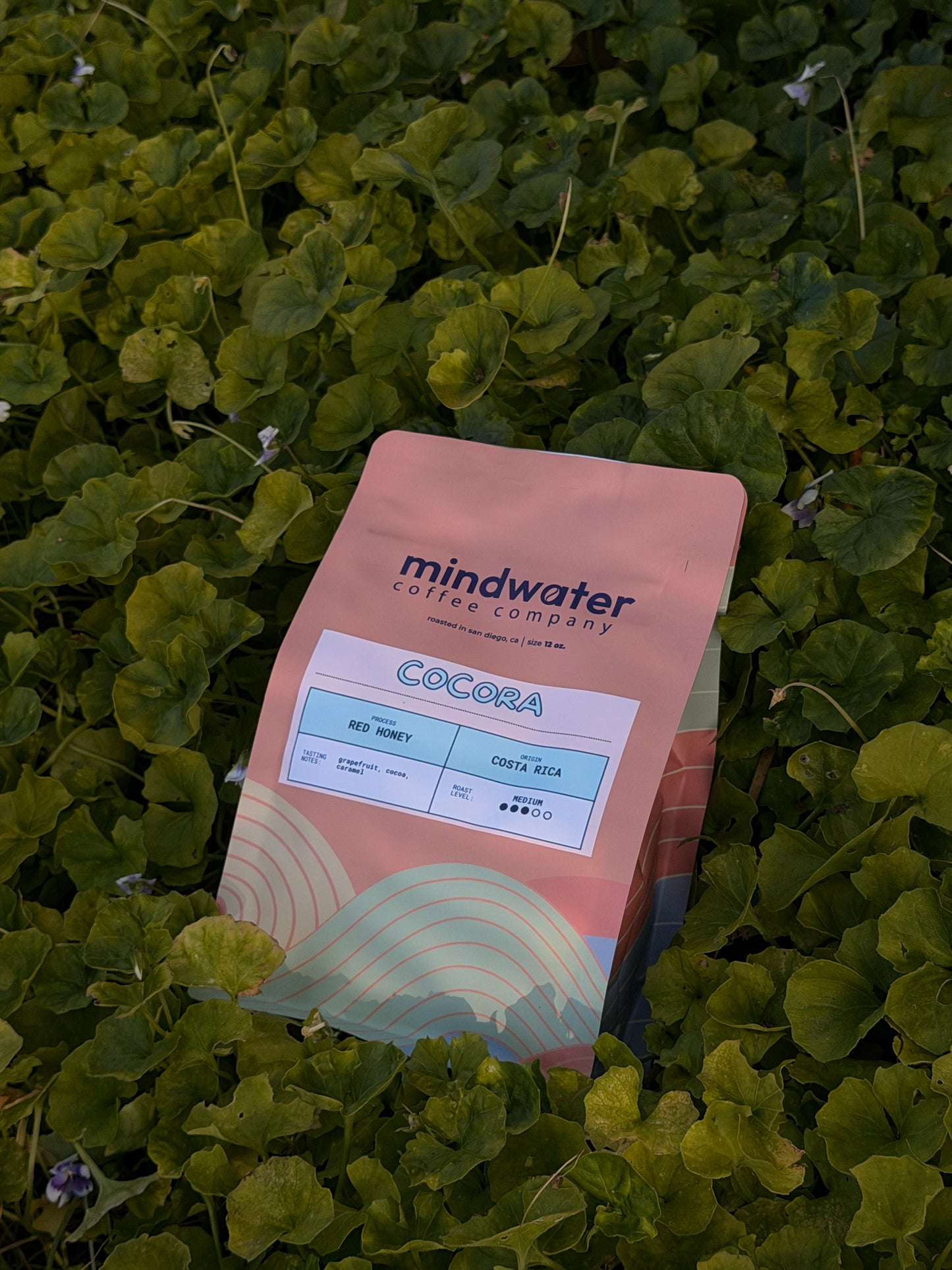 12 oz. Cocora Medium Roast Coffee | Costa Rica
