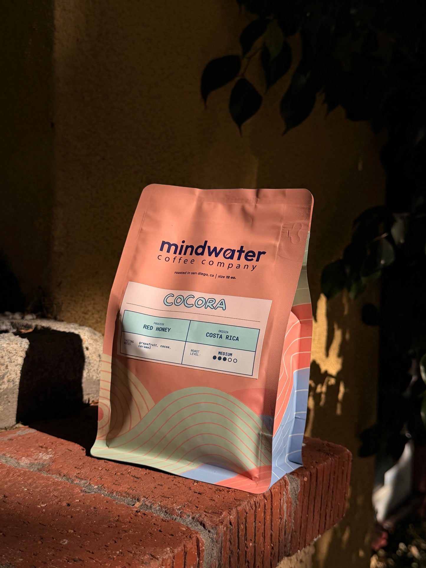 12 oz. Cocora Medium Roast Coffee | Costa Rica