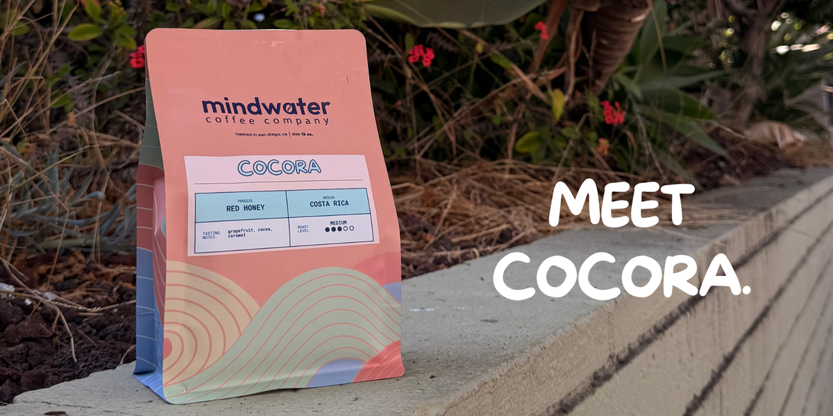A stand-up pouch of Mindwater Coffee Company Cocora Red Honey Medium Roast coffee stands on a concrete ledge outdoors with garden foliage in the background. Large white text on the right reads 'MEET COCORA.